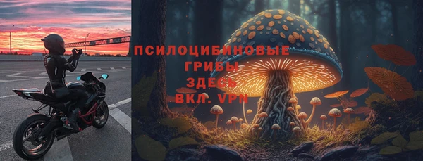 спиды Балахна