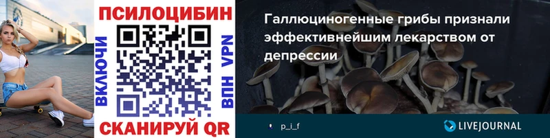 Псилоцибиновые грибы GOLDEN TEACHER  мориарти клад  Теберда  купить  